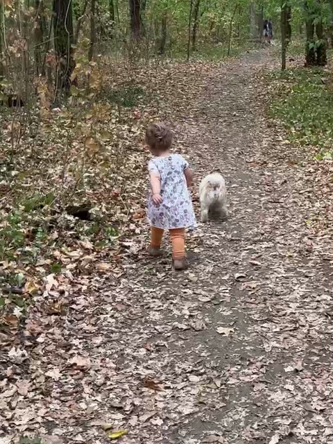 My niece toddling down a leafy forest path beside a small white dog